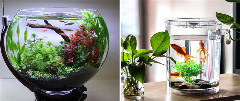 Ba cách bố trí nội thất hợp phong thủy cho năm 2022